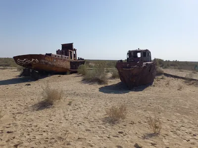 Cimetière de Navires, Moynaq