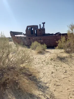 Cimetière de Navires, Moynaq