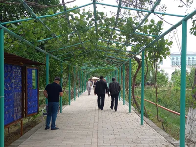 Boukhara