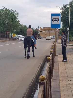 6- umumiy o'rta ta'lim maktabi, Boukhara