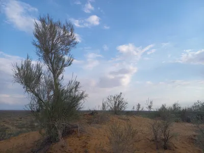 [Konimex District], [Konimex District]