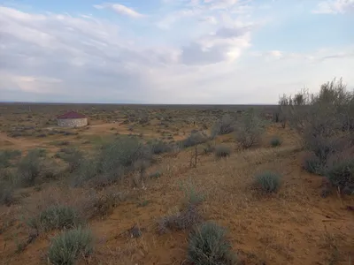 [Konimex District], [Konimex District]
