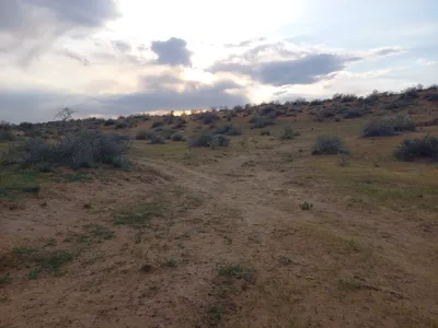 [Konimex District], [Konimex District]