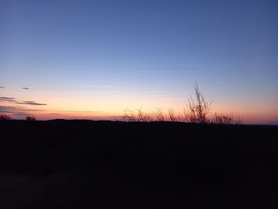[Konimex District], [Konimex District]
