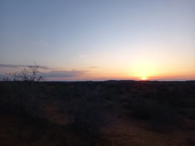 [Konimex District], [Konimex District]