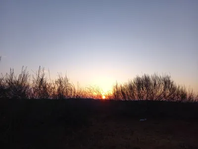 [Konimex District], [Konimex District]