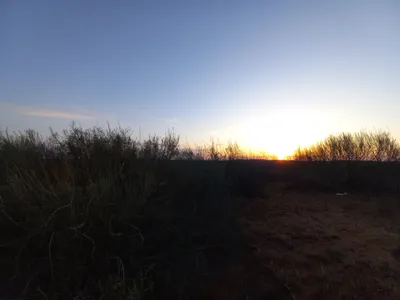 [Konimex District], [Konimex District]