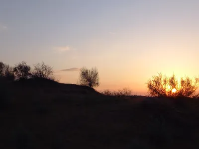[Konimex District], [Konimex District]