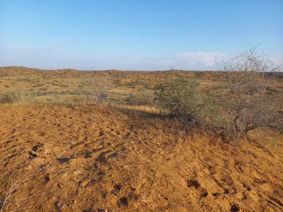 [Konimex District], [Konimex District]