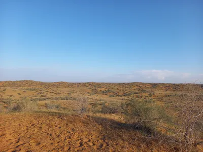 [Konimex District], [Konimex District]