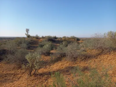 [Konimex District], [Konimex District]