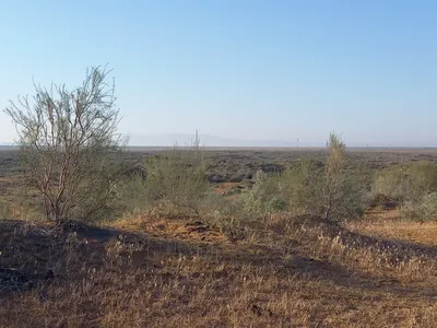 [Konimex District], [Konimex District]