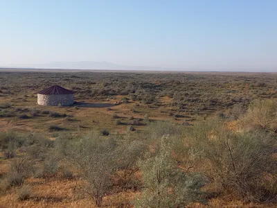 [Konimex District], [Konimex District]