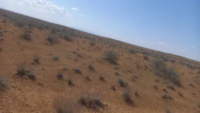 [Konimex District], [Konimex District]