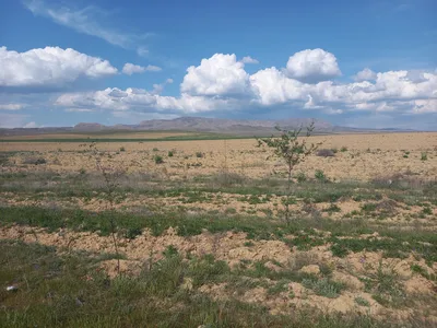D074, [Qoʻshrabot District]