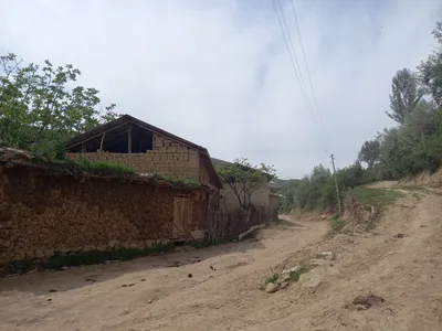 Ayriqiya