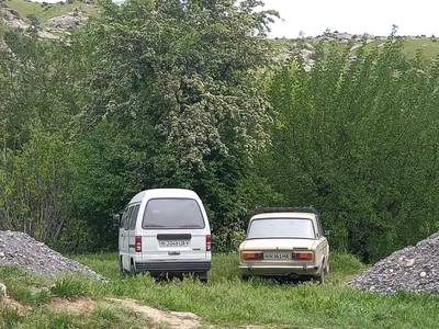 Ayriqiya