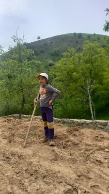 Ayriqiya