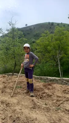 Ayriqiya