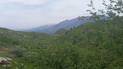 [Aktash], [Aktash]