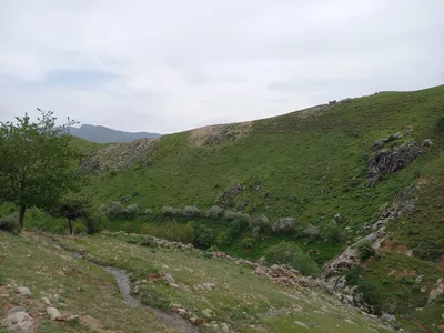 [Aktash], [Aktash]