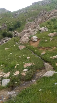 [Aktash], [Aktash]