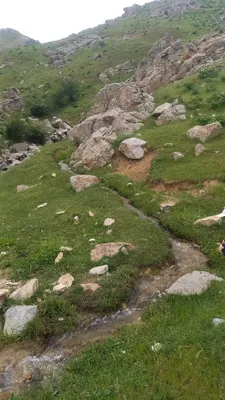 [Aktash], [Aktash]