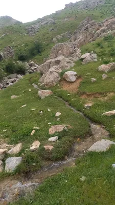 [Aktash], [Aktash]
