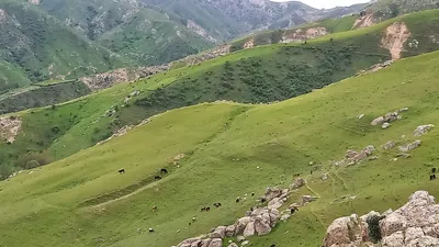 [Aktash], [Aktash]