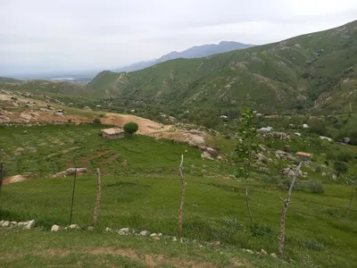 Ayriqiya