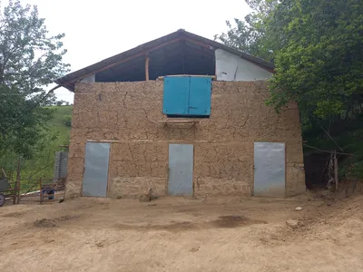 Ayriqiya