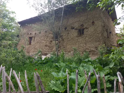 Ayriqiya