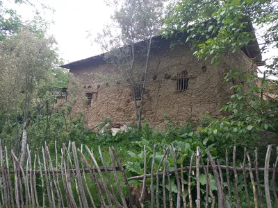 Ayriqiya