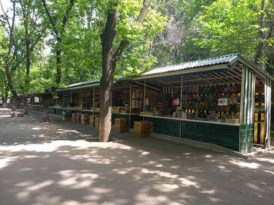 Tachkent