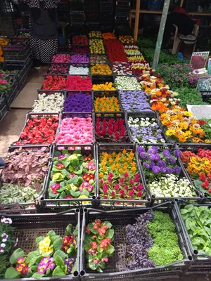 Marché de Chorsu, Tachkent