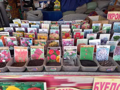 Marché de Chorsu, Tachkent