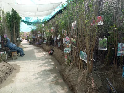 ["Jar" ​​sports complex], Tachkent