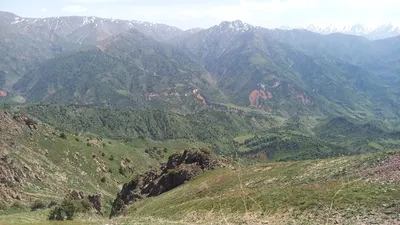 district de Bostanliq