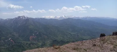district de Bostanliq