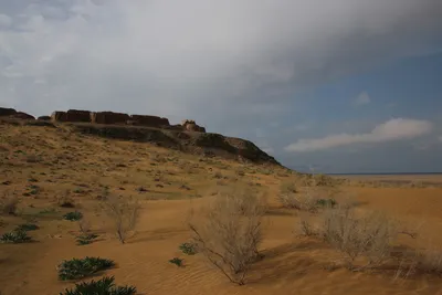 [Ellikqala District]
