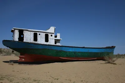 Muynak Port, Moynaq