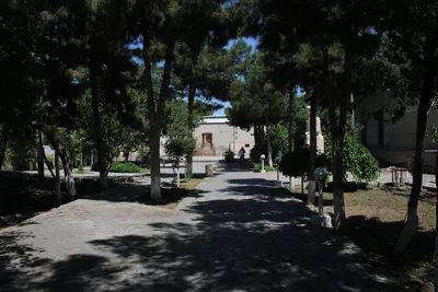 Buxoro Abu Ali ibn Sino nomidagi jamoat salomatligi texnikumi, Boukhara