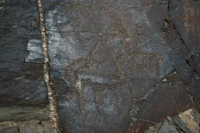 [Sarmish], [Navbahor District]