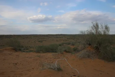 [Konimex District], [Konimex District]