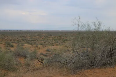 [Konimex District], [Konimex District]