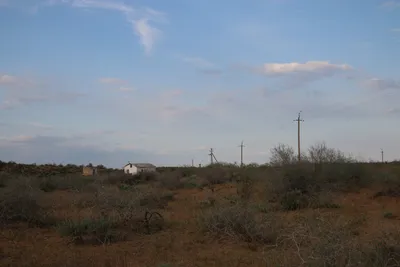 [Konimex District], [Konimex District]