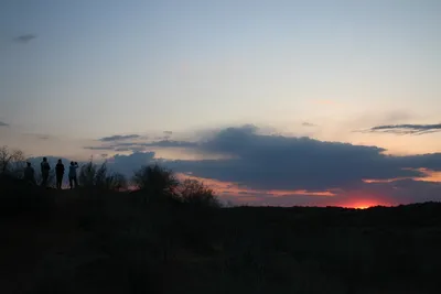 [Konimex District], [Konimex District]
