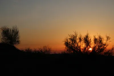 [Konimex District], [Konimex District]