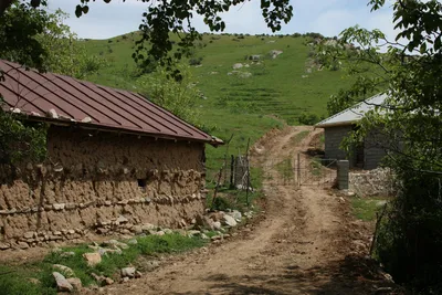 Ayriqiya