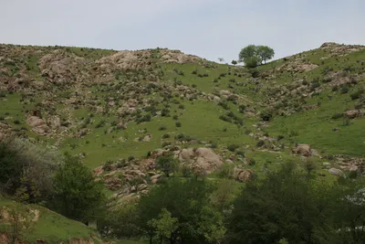 [Aktash], [Aktash]